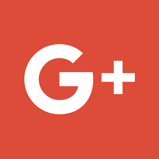 LDR Agency Hosting Google